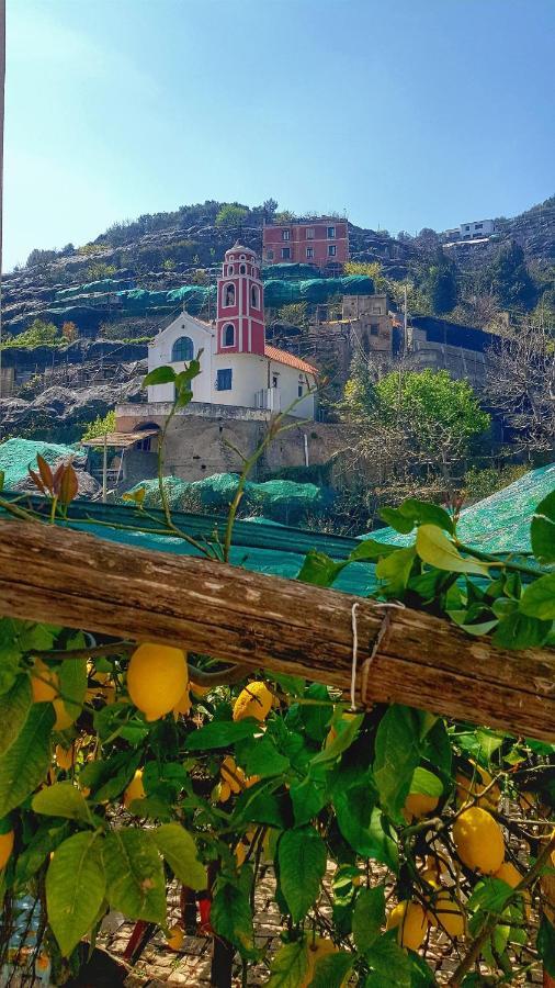 Il Limoneto Di Lulu, Holidays Among The Lemon Trees Minori Dış mekan fotoğraf