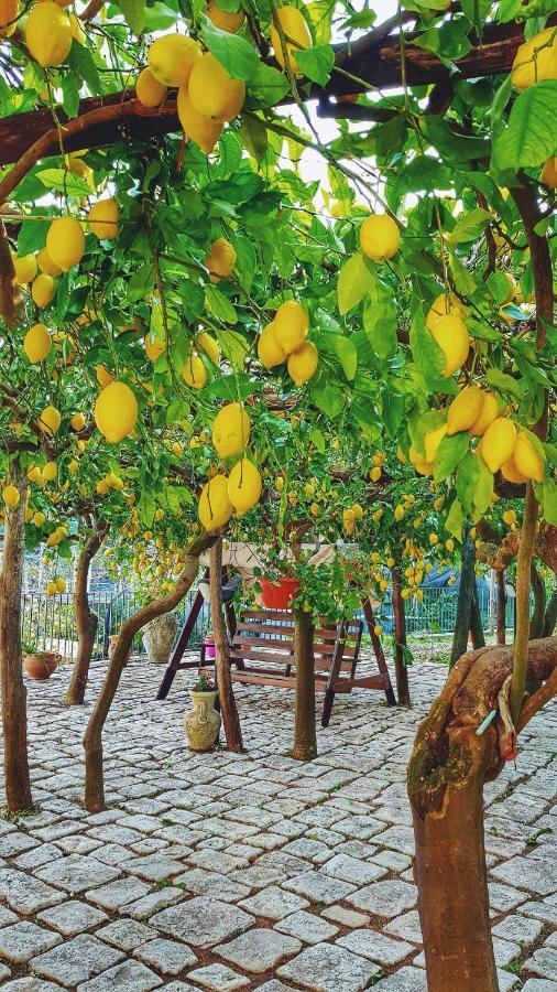 Il Limoneto Di Lulu, Holidays Among The Lemon Trees Minori Dış mekan fotoğraf