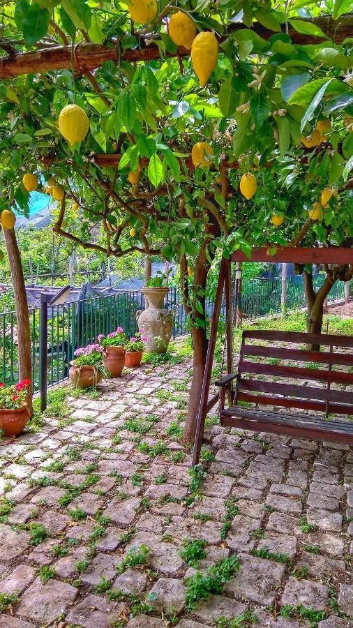 Il Limoneto Di Lulu, Holidays Among The Lemon Trees Minori Dış mekan fotoğraf