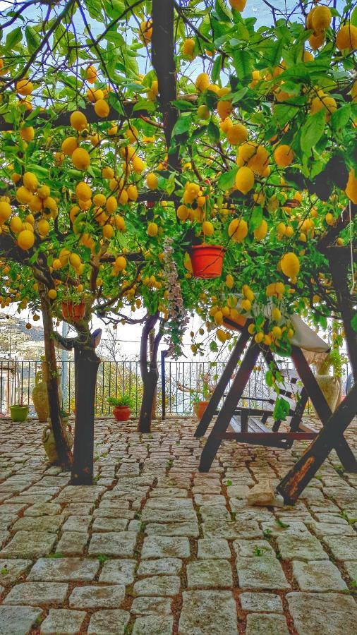 Il Limoneto Di Lulu, Holidays Among The Lemon Trees Minori Dış mekan fotoğraf